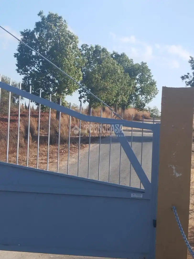 Finca rústica en venta en Aznalcázar