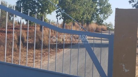Foto 4 de Finca rústica en venda a Aznalcázar, Sevilla
