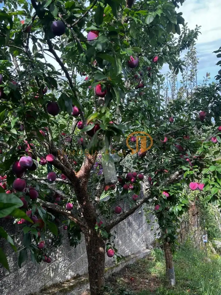 Casa rústica amb terrassa en venda a Moraña, imagen 47