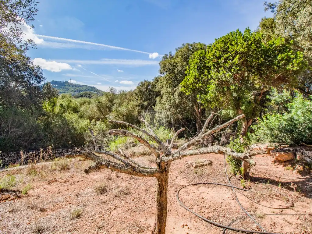 Finca rústica en venda en Es Mercadal amb Jardí privat