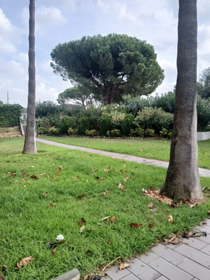 Traster en venda en Cambrils