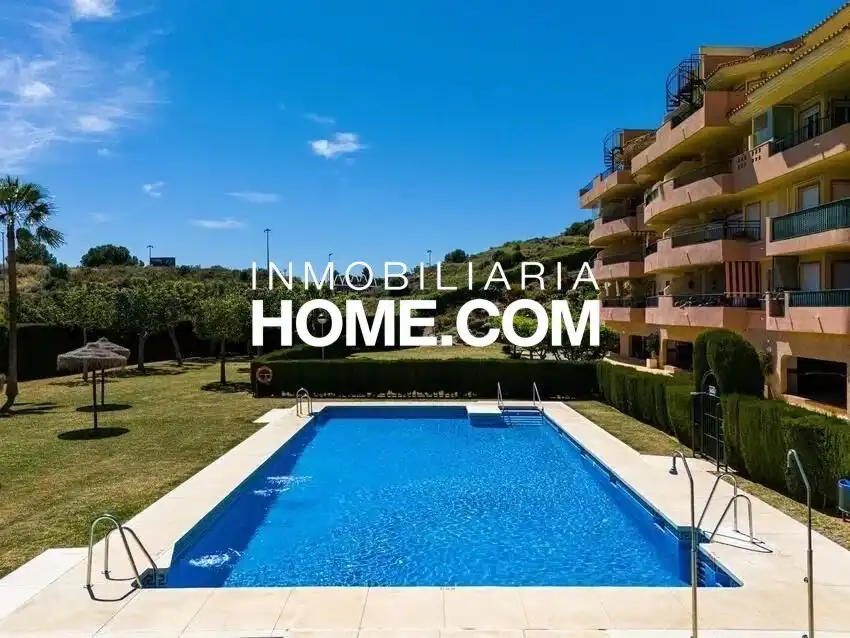 Piso con terraza en venta en Avenida Avenida Ingenieros de Riviera, imagen 4