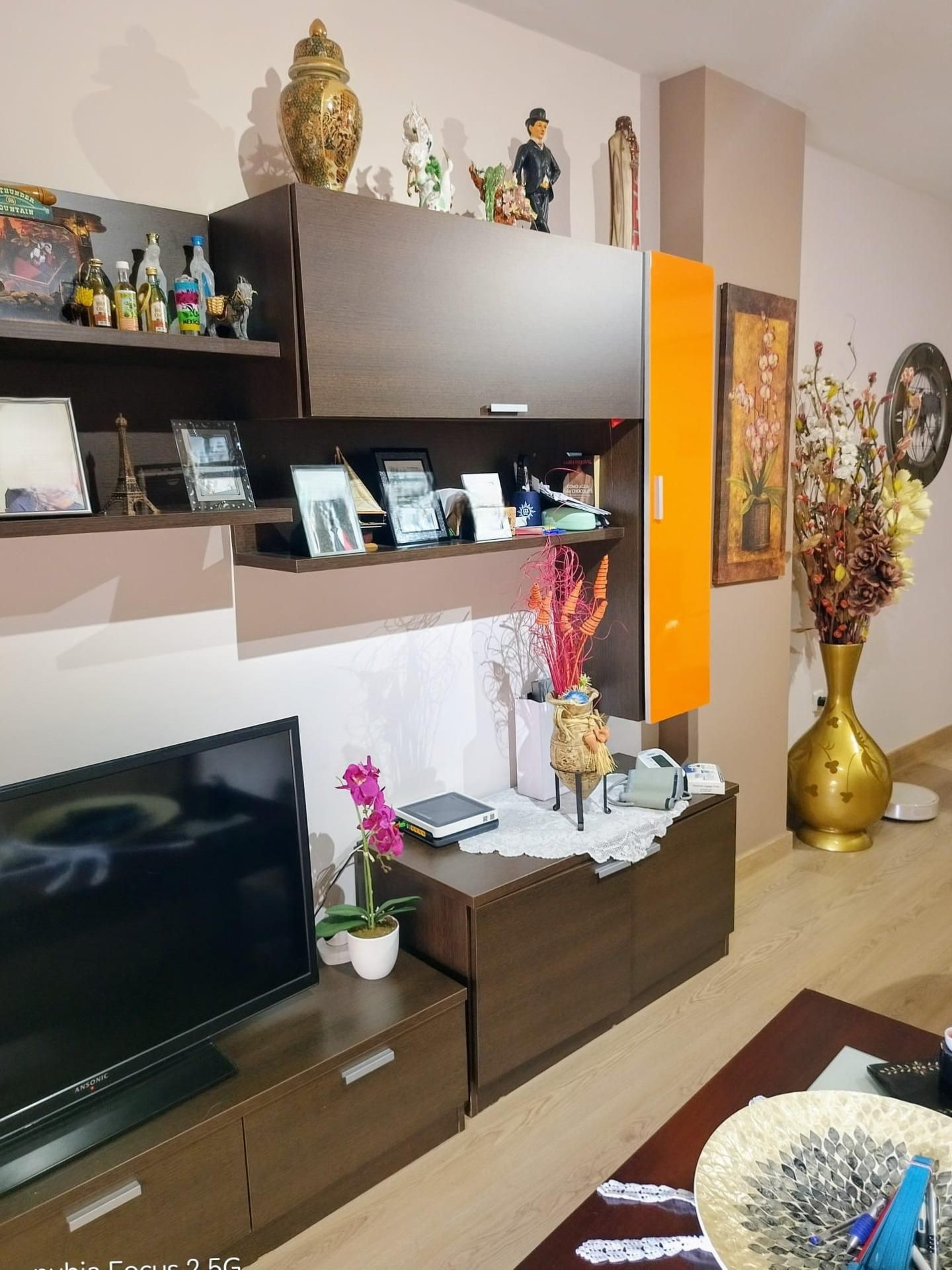 Sala de estar de Apartamento de alquiler en El Ejido