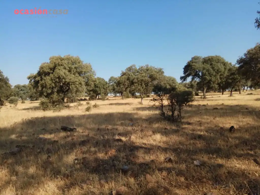 Country homes for sale in Torrecampo
