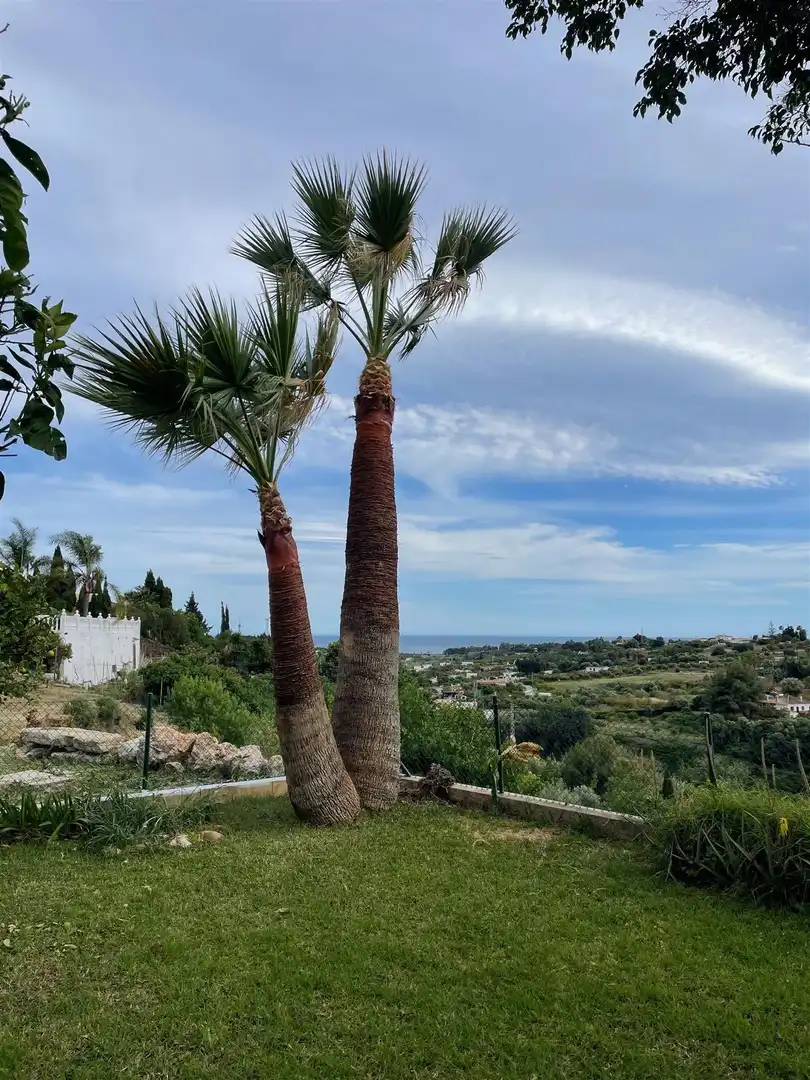 Haus mit Pool zum Verkauf in Estepona Pueblo, imagen 33