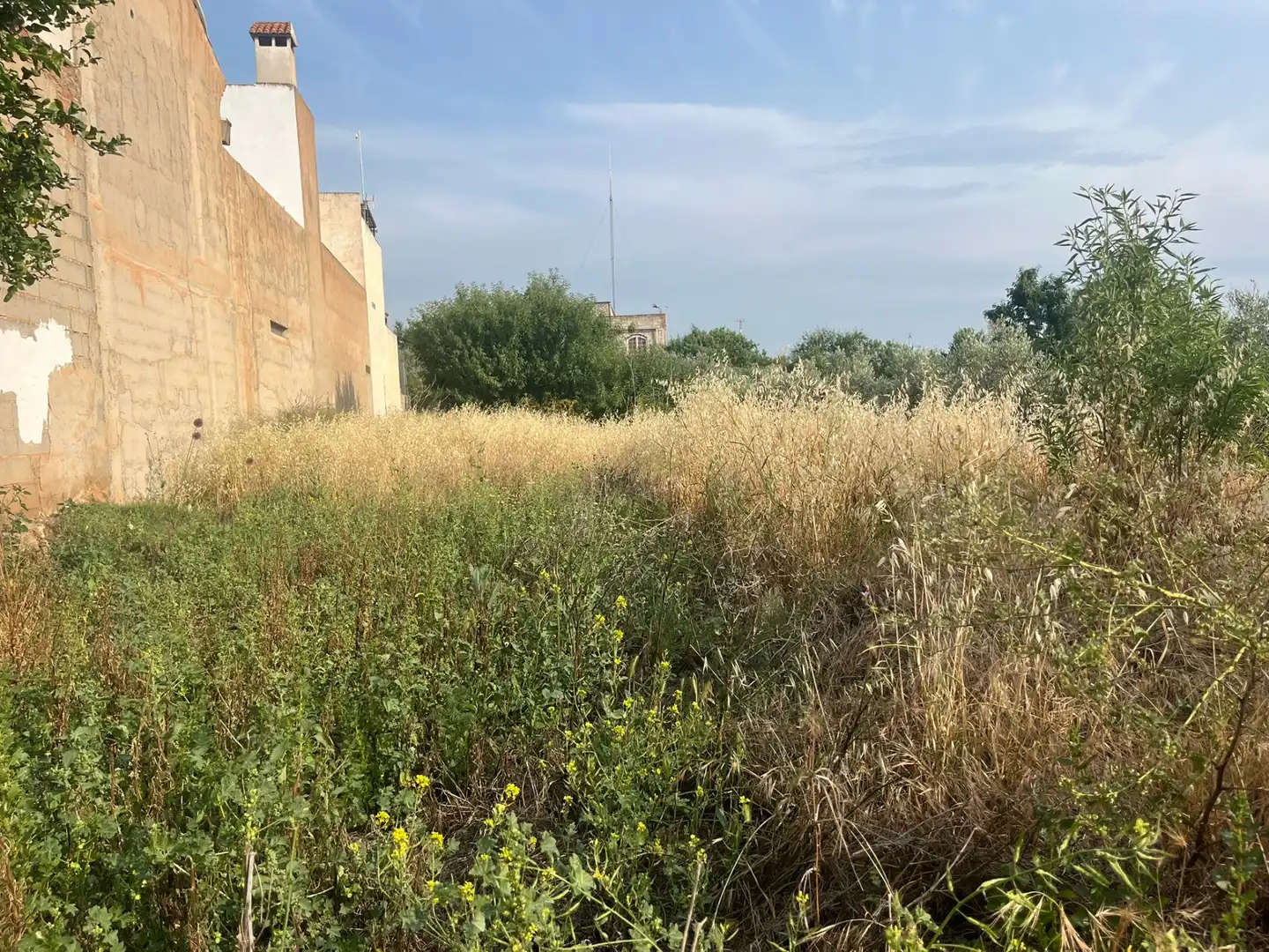 Rural land for sale in Calle Verano, imagen 7