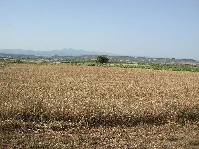 Terrenys i solars en venda a Alberite, imagen 4