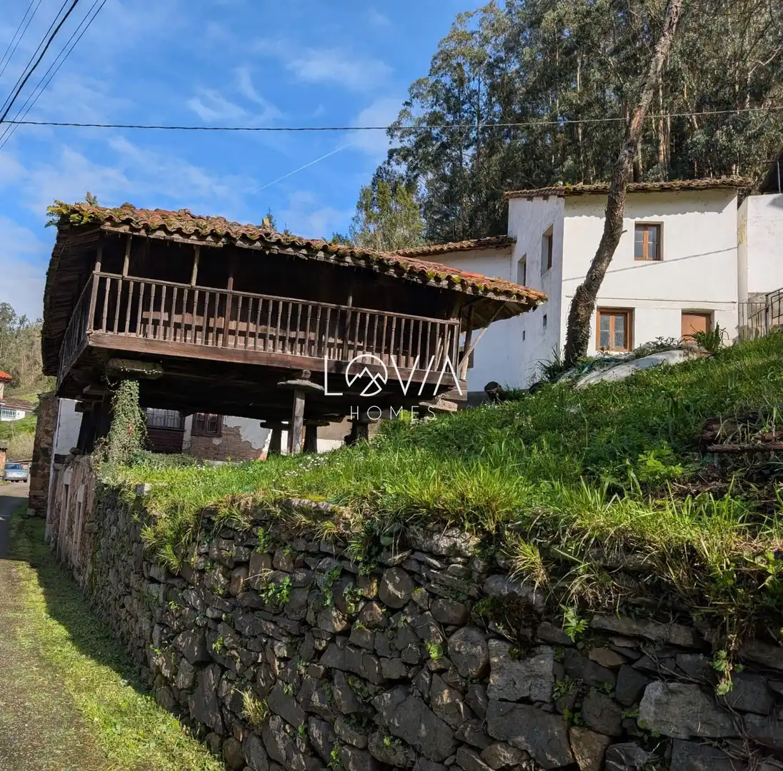 Vista exterior de Casa o xalet en venda en Pravia amb Jardí privat