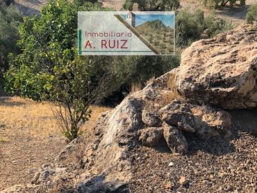 Terreno rustico in vendita a Priego de Córdoba