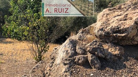 Imagen 1 del anuncio