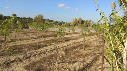 Photo 4 of Land for sale in Paseo Marítimo - San José - La Laguna, Cádiz