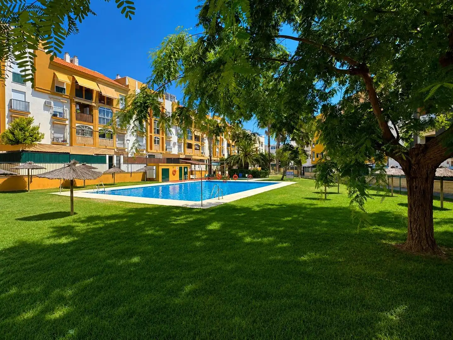 Pis amb piscina en venda a Chapín - Campus Universitario - Navinco, imagen 7