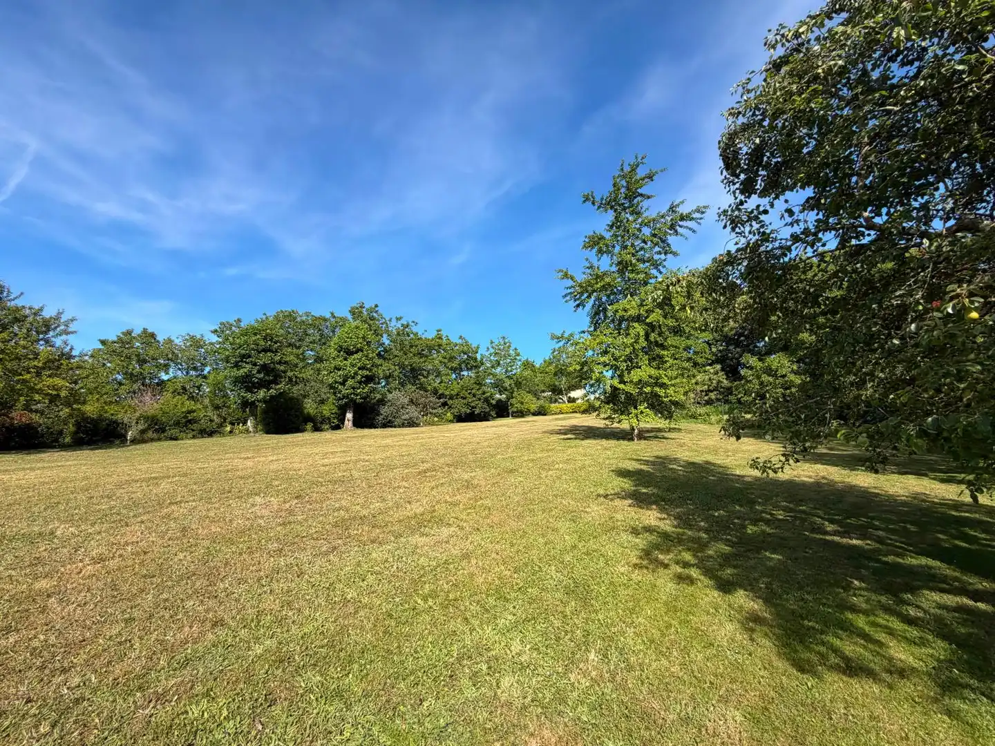 Land for sale in Fene