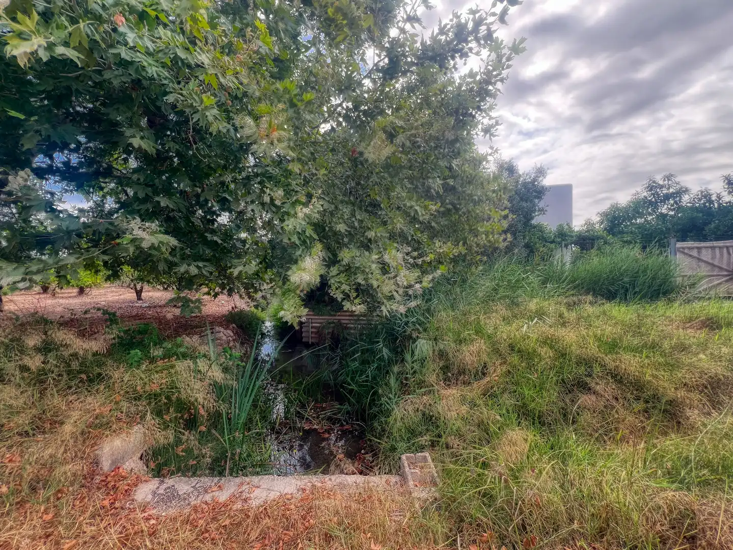 Houses for sale in Albalat de la Ribera  with Heating and Terrace
