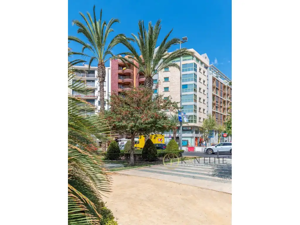 Penthouse mit Aufzug zum Verkauf in Plaza Luceros De Los, imagen 31