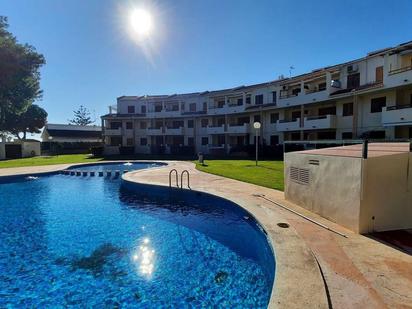 Swimming pool of Planta baja for sale in Alcanar  with Private garden, Terrace and Community pool