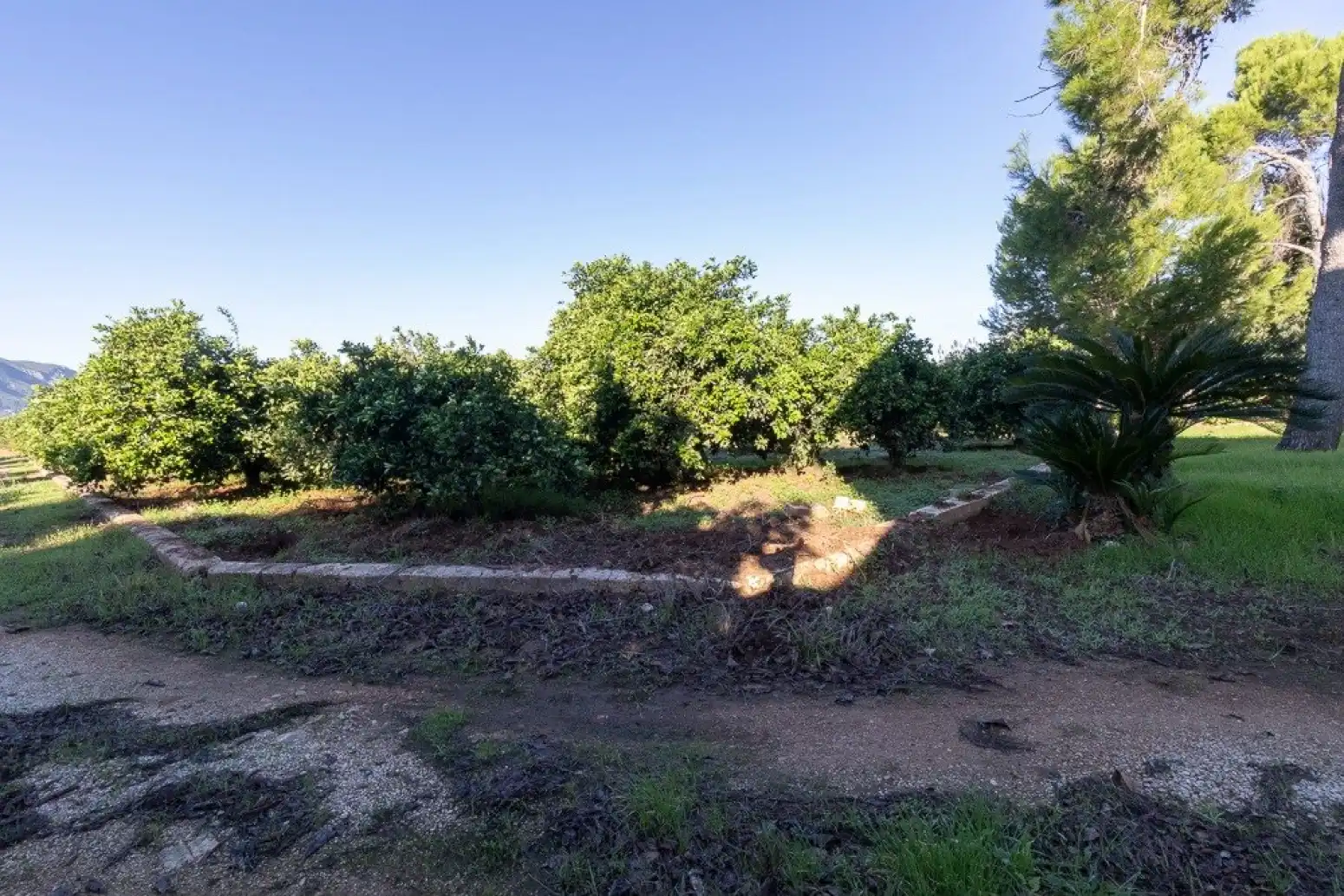 Maison à vendre à Benifairó de la Valldigna - HORTA, imagen 10