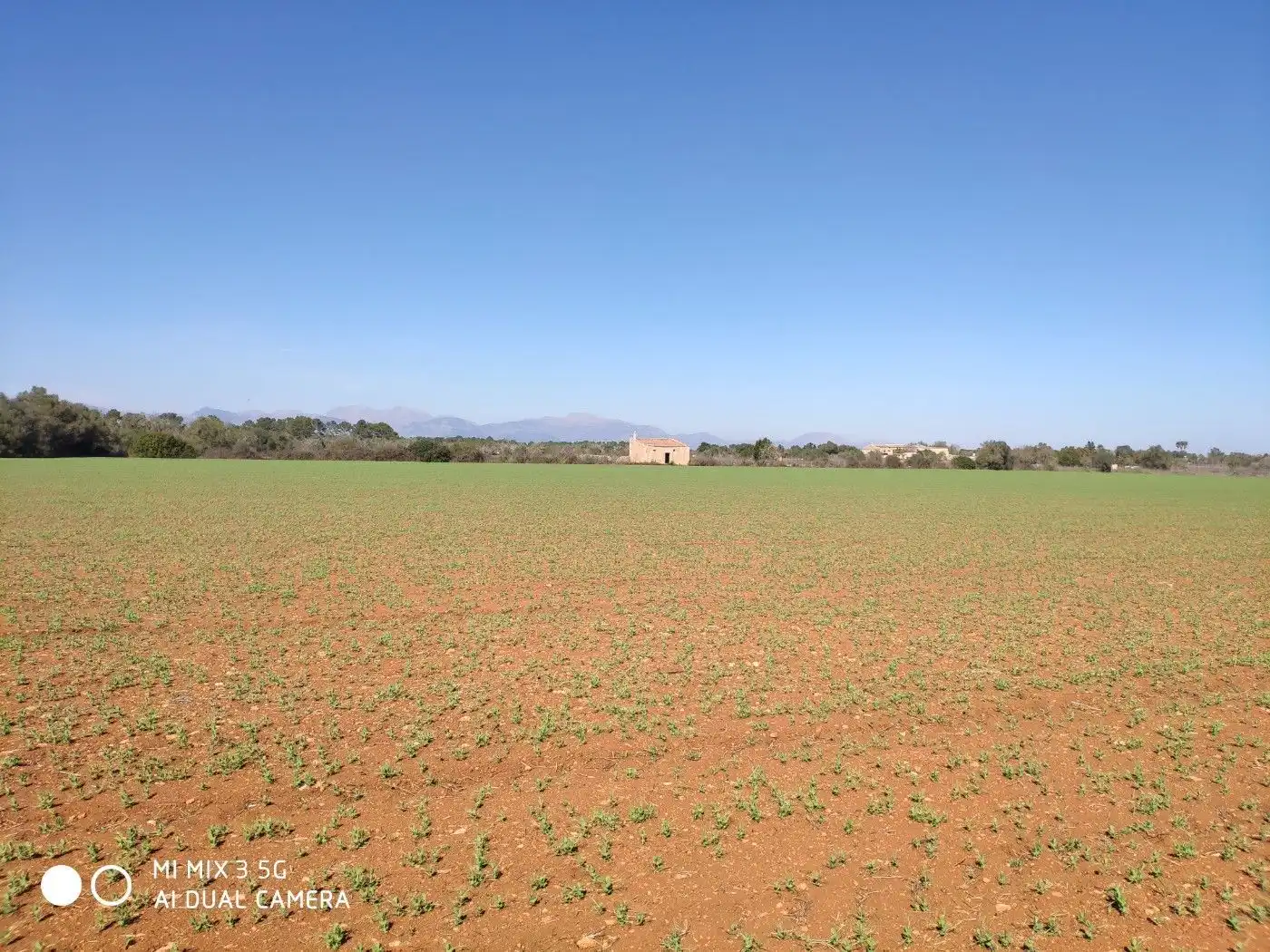Terrain résidentiel à vendre à Algaida, imagen 5