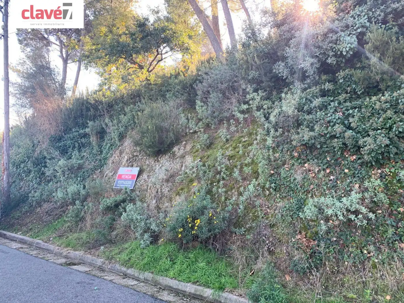 Wohnbaugrundstück zum Verkauf in El Racó - Sant Feliu del Racó