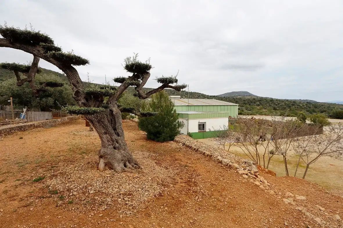 Casa en venta en Zona Hospital, imagen 16