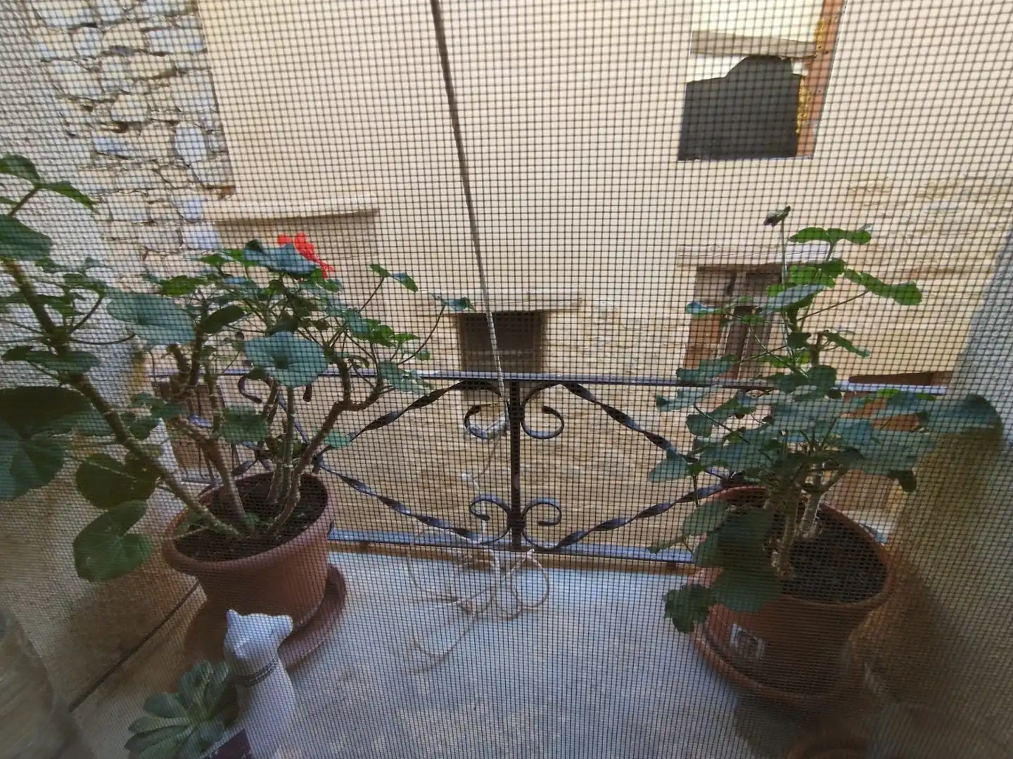 Casa con terrazza in vendita a Calle Orden 11, imagen 12