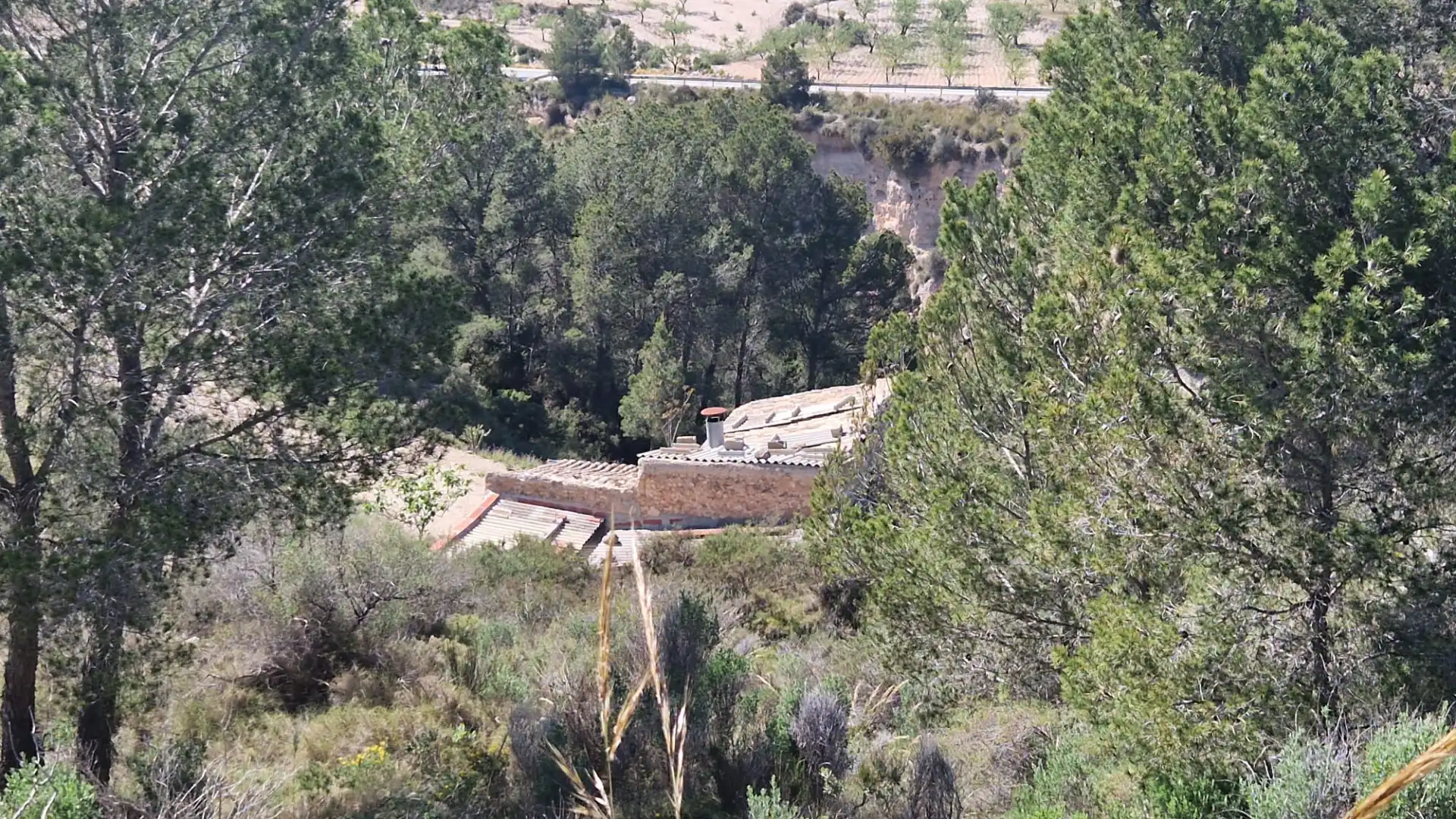 Terreno rustico in vendita a Lugar Castillo, imagen 12