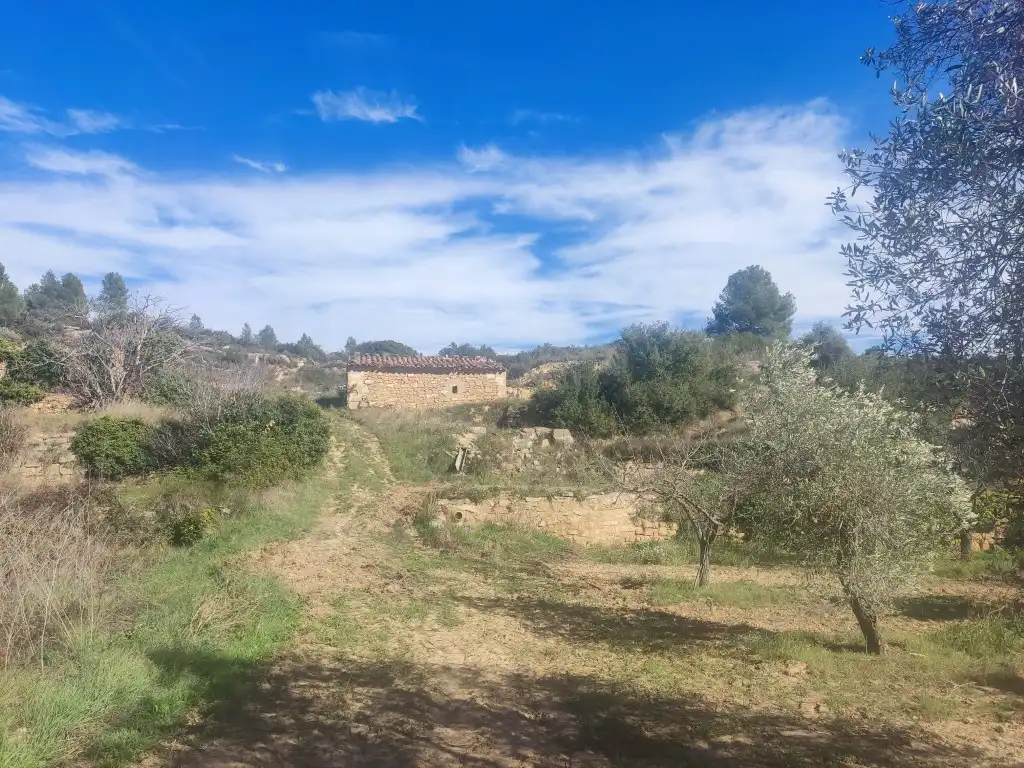 Terreni e lotti in vendita a Mazaleón, imagen 2