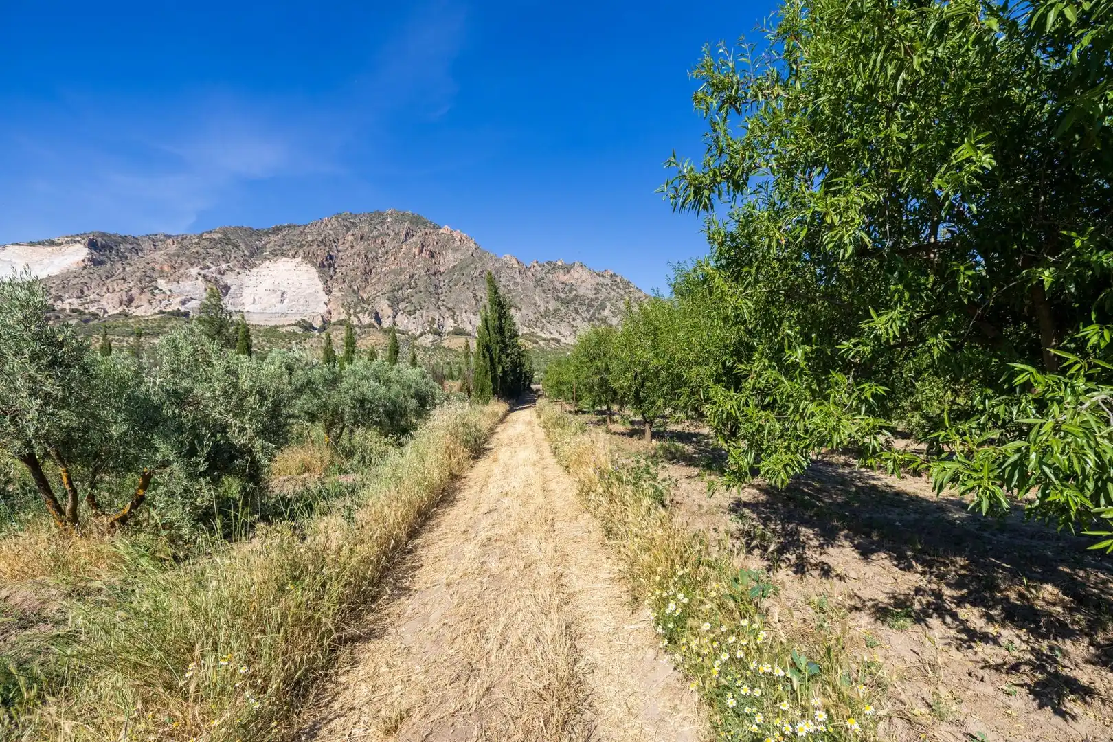 Rural land for sale in Dúrcal, imagen 23