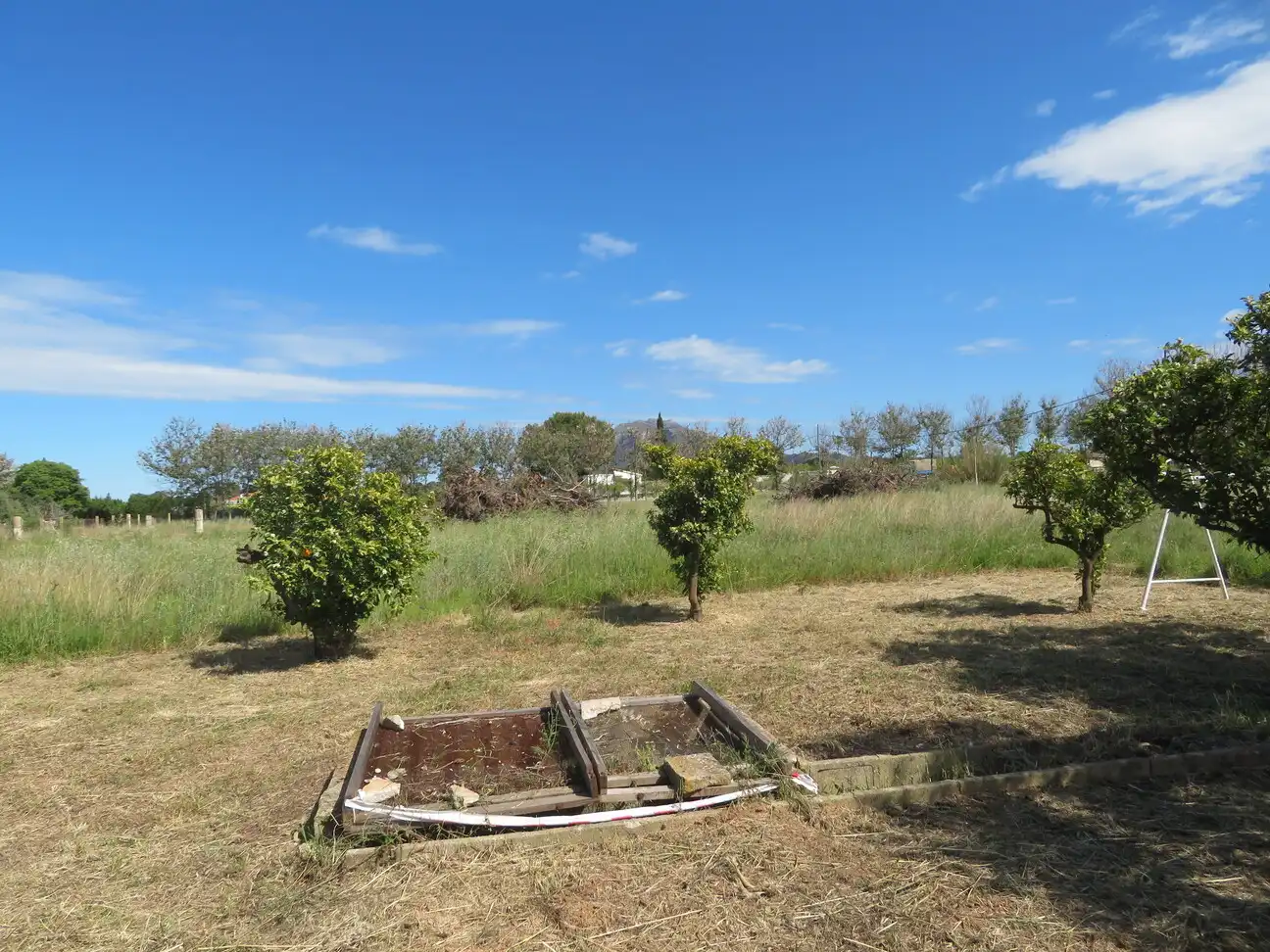 Terreny rústic en venda a Ondara, imagen 5