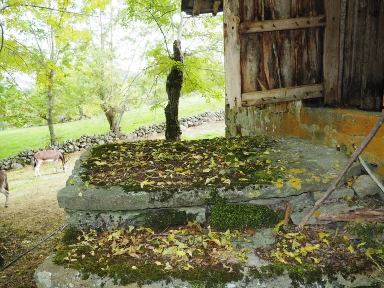 Xalet amb jardí en venda a Lugar Rioseco 28, imagen 16