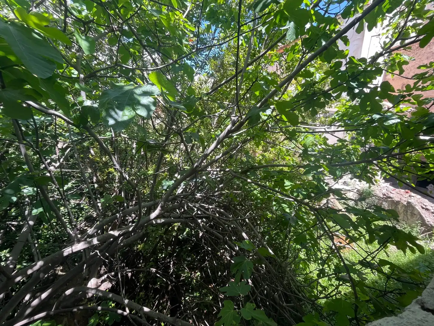 Casa o xalet en venda en Cehegín amb Traster, Moblat i Forn