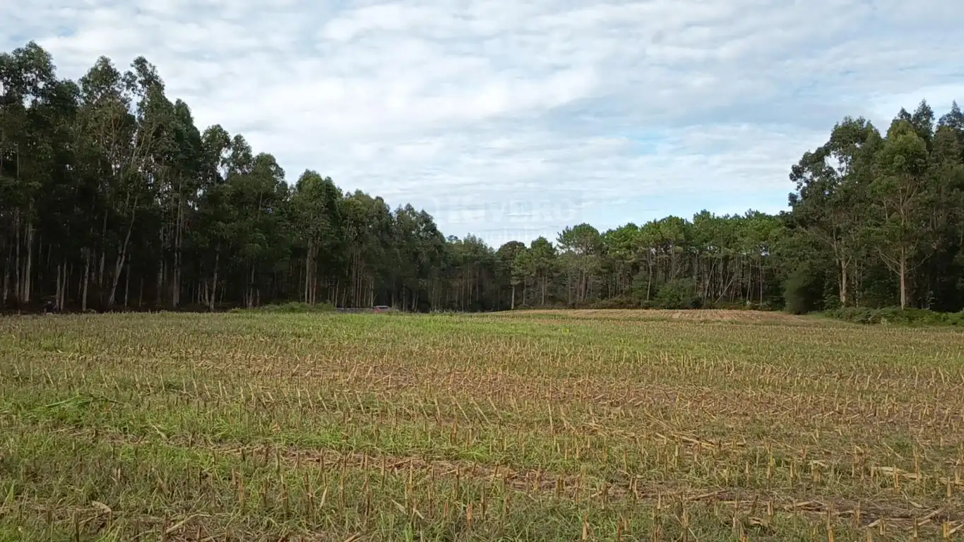 Terreno rústico en venta en Aldea Cabañas, imagen 21