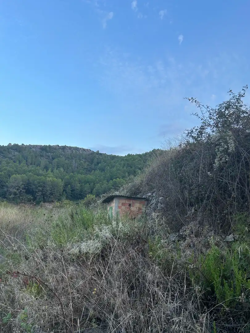 Terreny rústic en venda a Camí Jovada, imagen 4