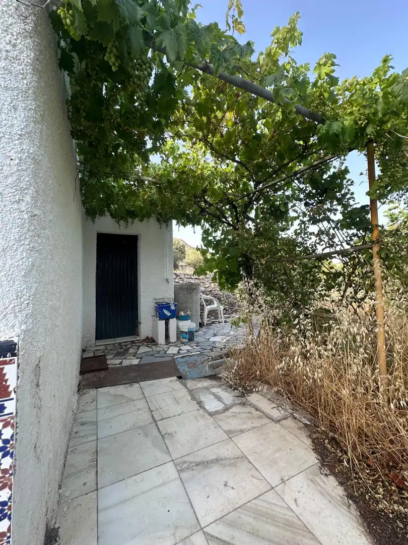 Finca rústica en venta en Somontín