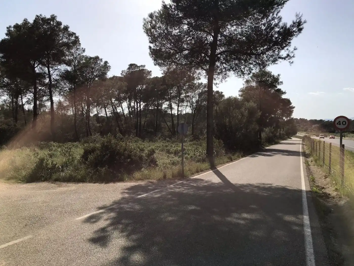 Terrenys i solars en venda a Algaida, imagen 11