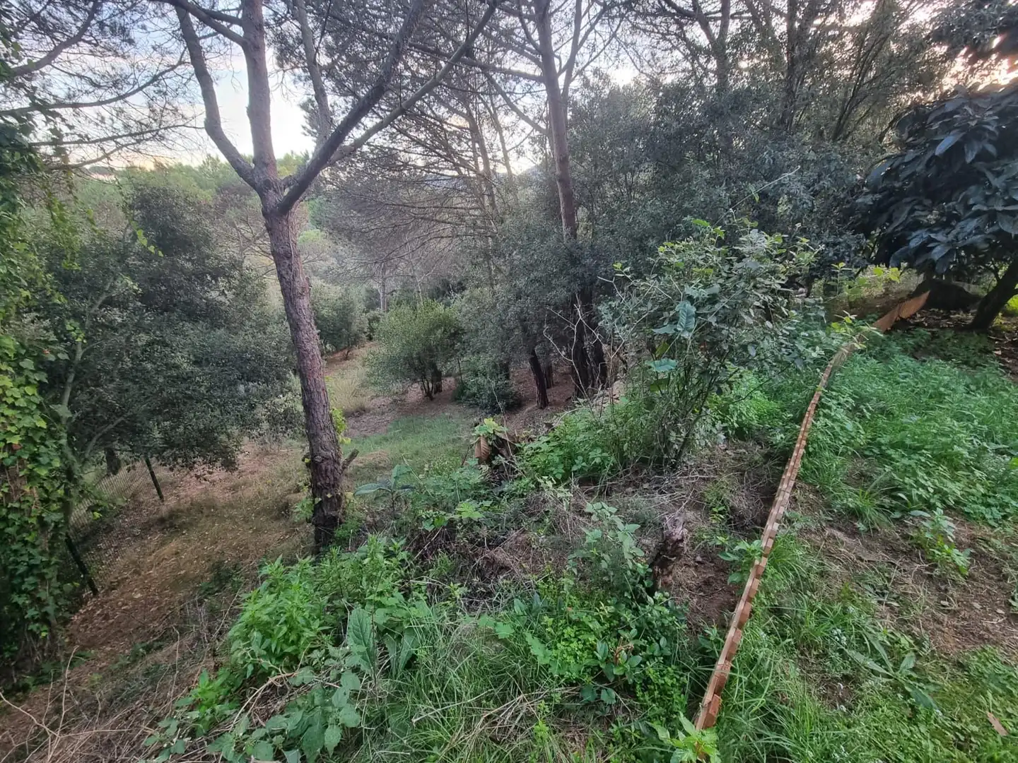 Terreno en venta en Argentona Est
