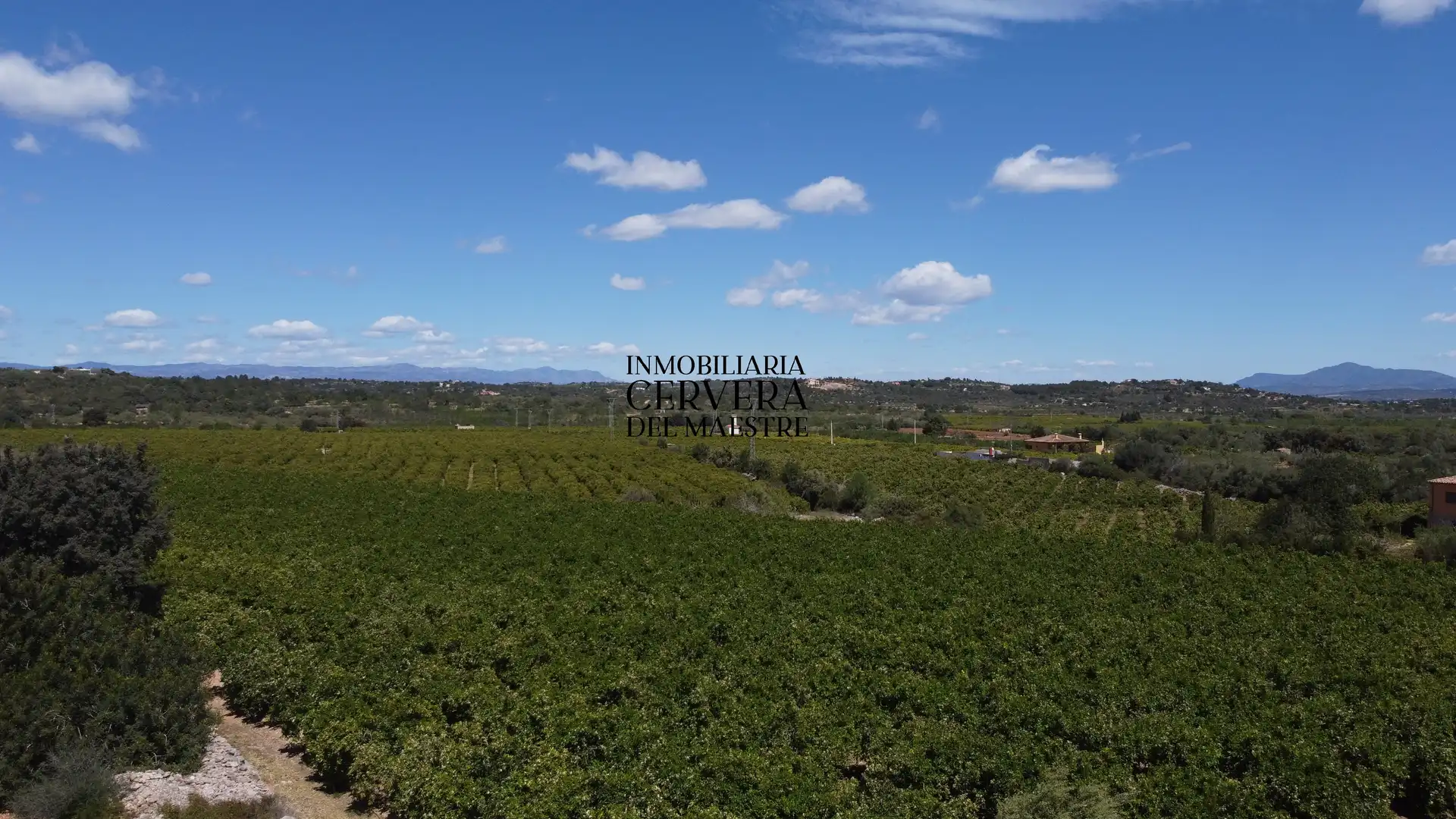 Terreno rustico in vendita a Cervera del Maestre, imagen 42