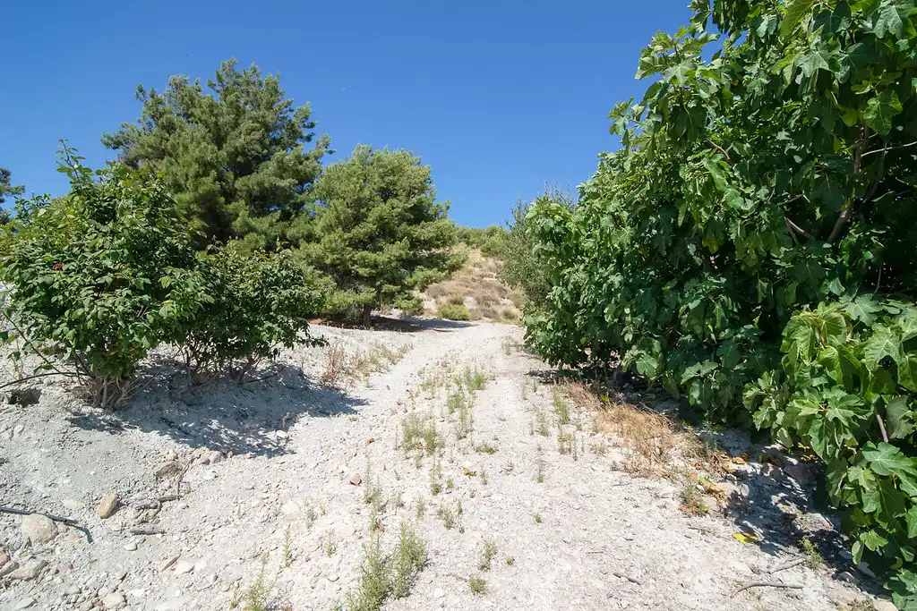 Lands and plots for sale in Paraje del Tale, imagen 9