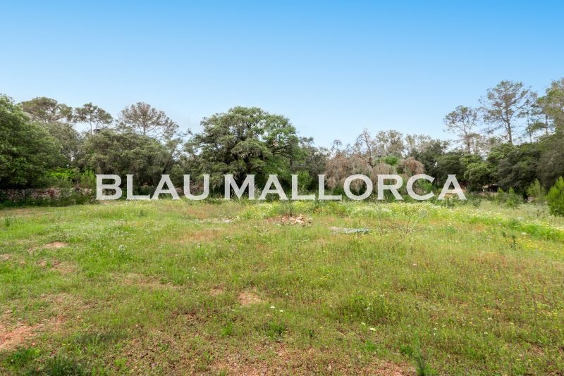 Finca rústica en venda