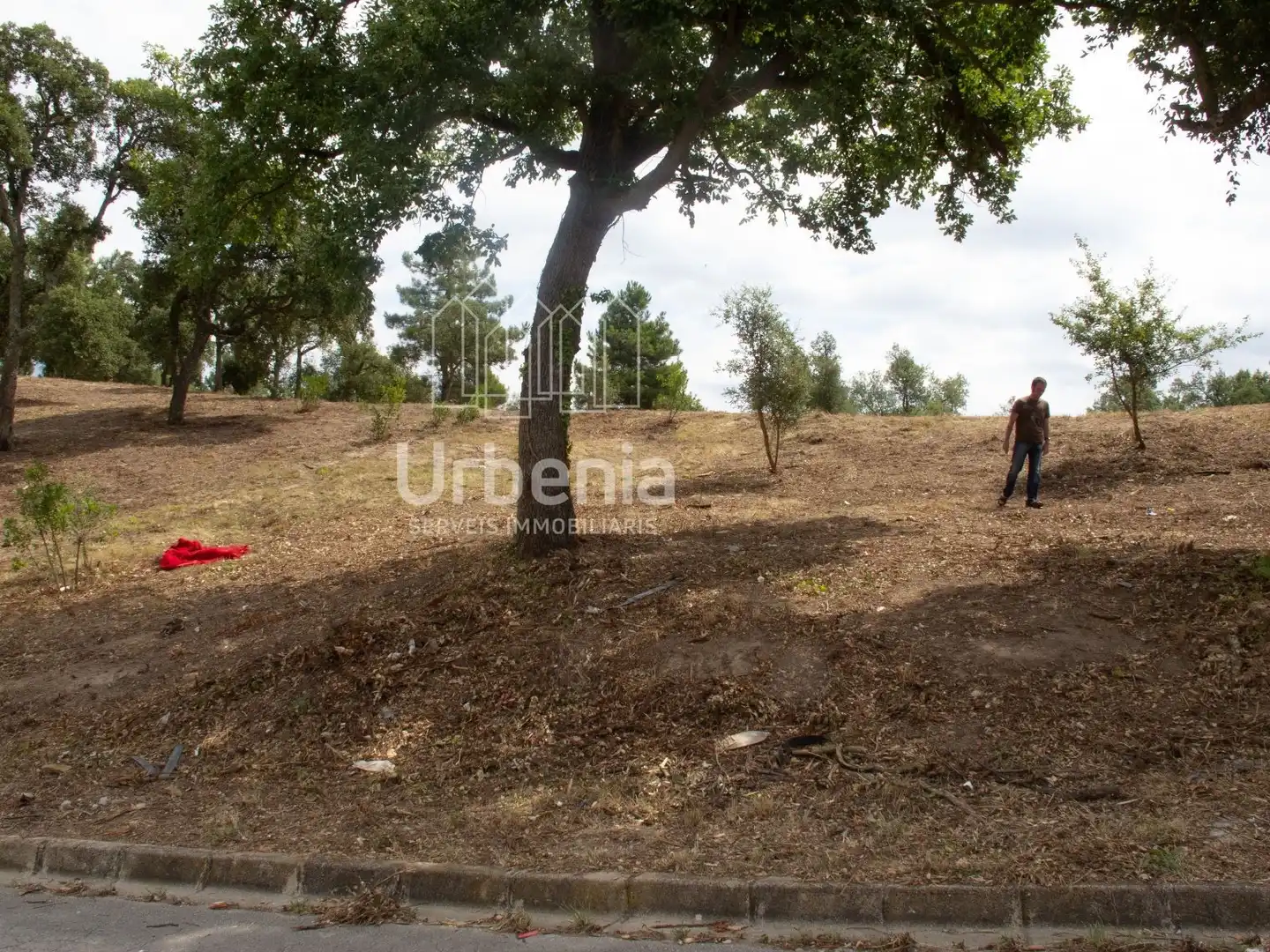 Rural land for sale in Maçanet de la Selva pueblo, imagen 7