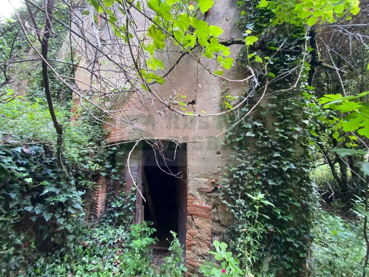 Finca rústica en venta en La Pera