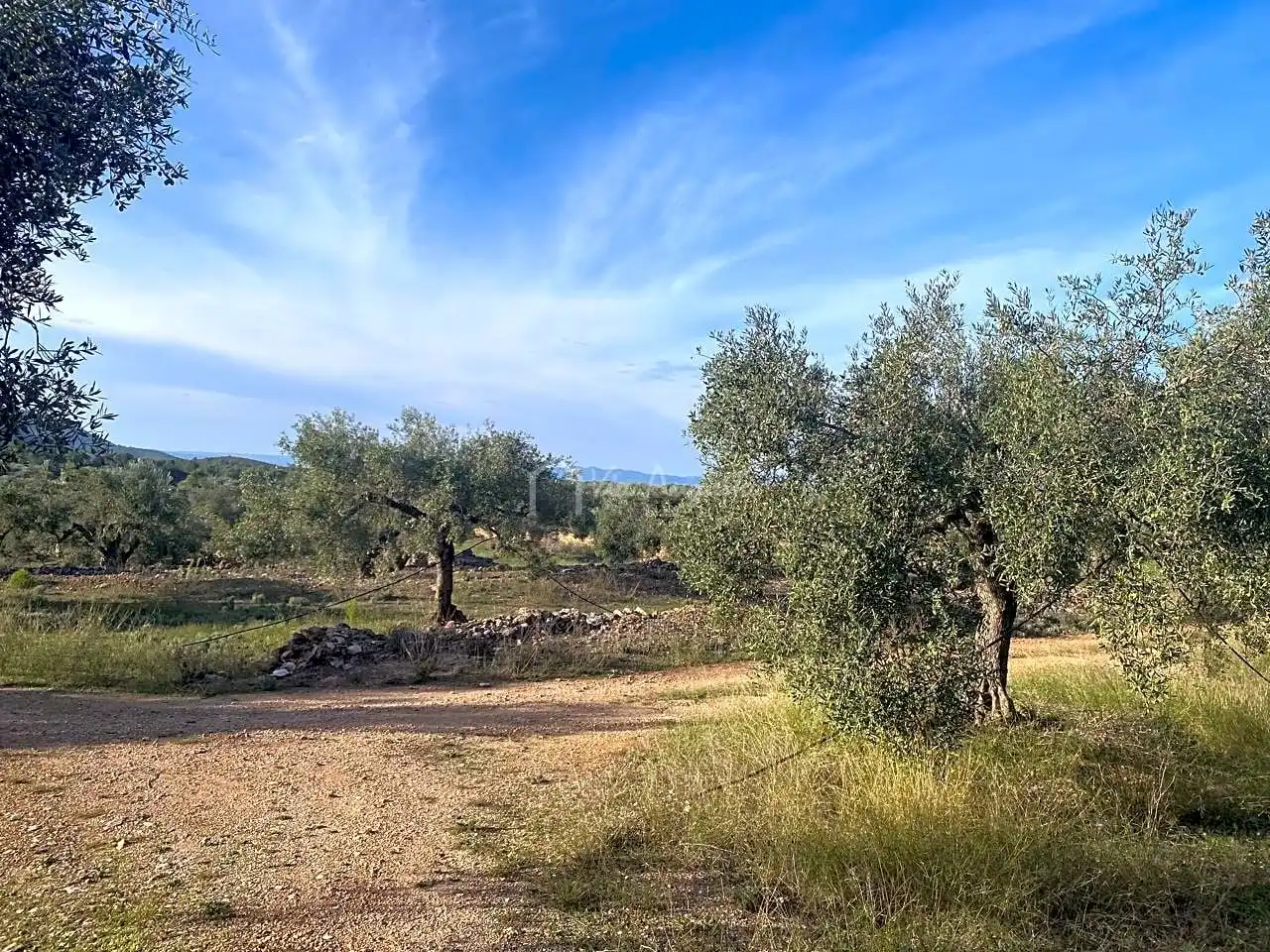 Terrain rustique à vendre à Burgà, imagen 7