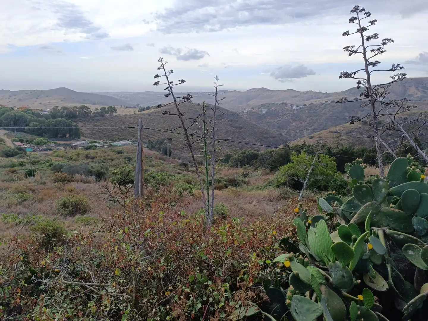 Land for sale in Las Palmas de Gran Canaria
