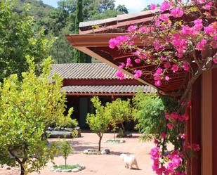 Jardí de Casa o xalet en venda en Júzcar amb Piscina