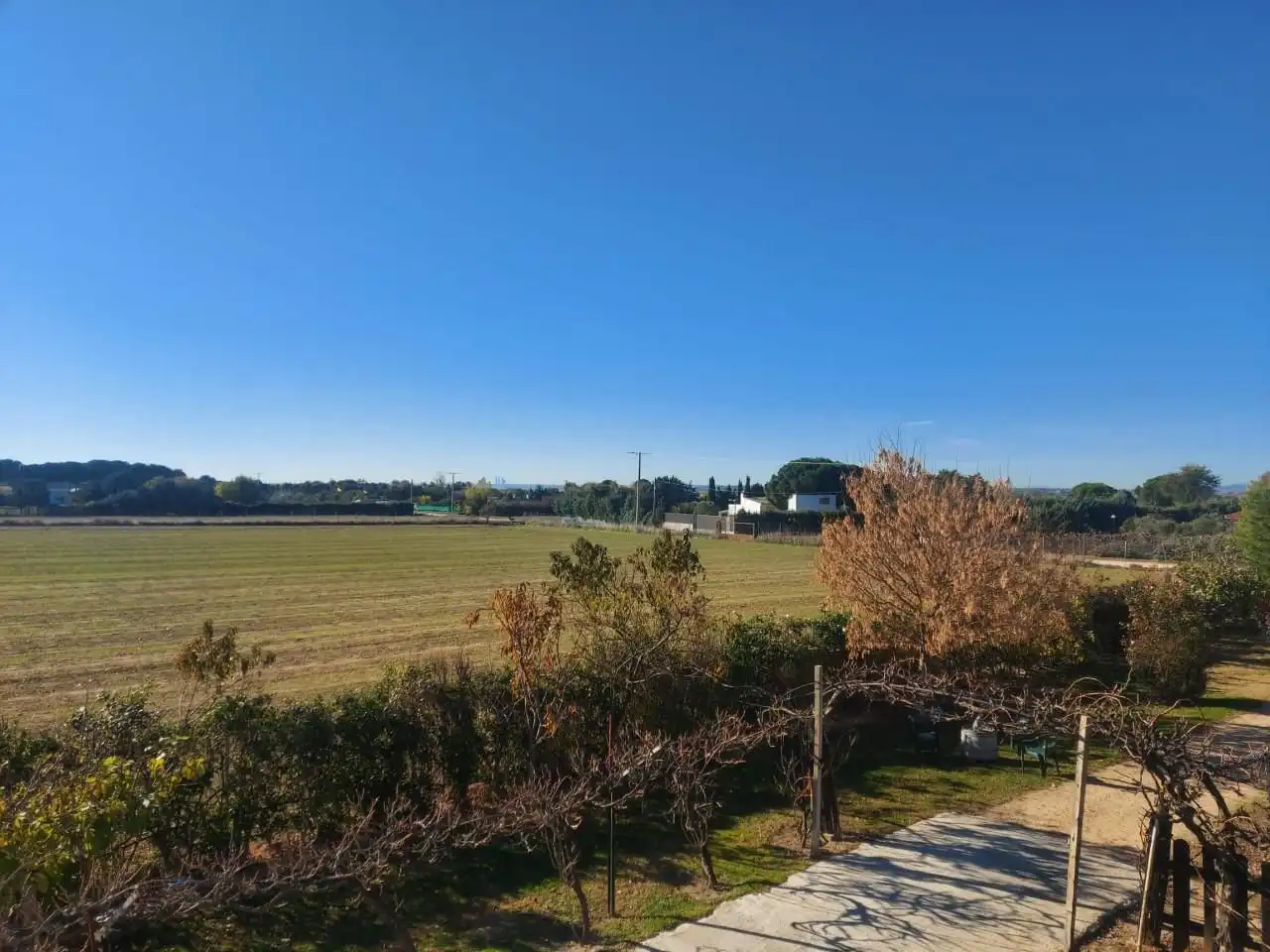 House with pool for sale in Fuente El Saz de Jarama, imagen 51