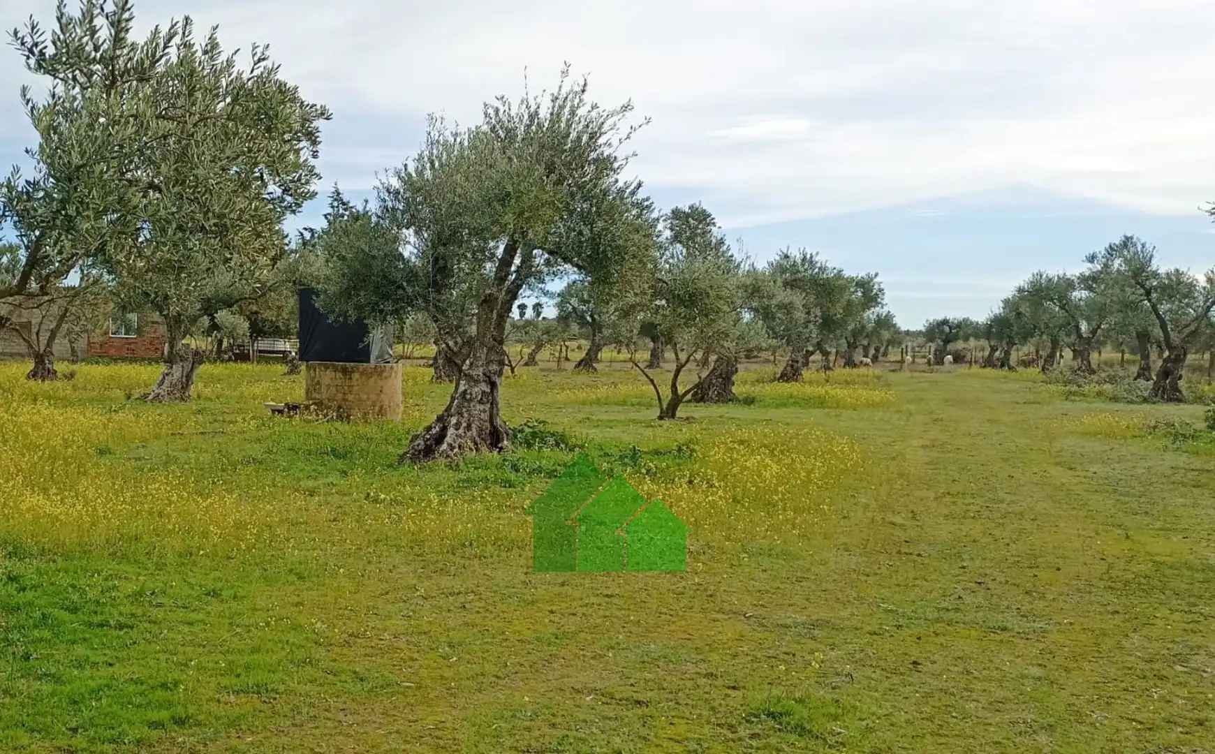 Chalet en venta en Montijo, imagen 18