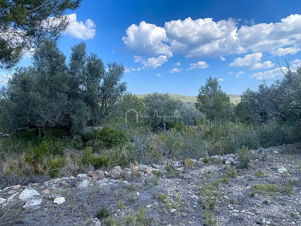 Terreno rustico in vendita a Ligallo de les Bordes, imagen 20