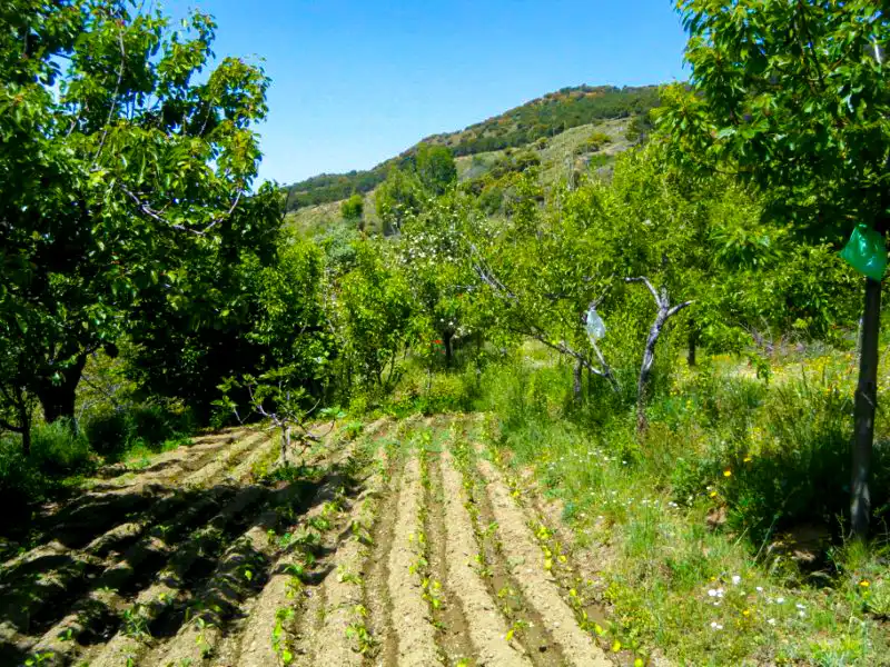 Casa rústica amb jardí en venda a N/A, imagen 62
