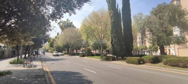 Local comercial en Alquiler en Na Rovella - Hermanos Maristas