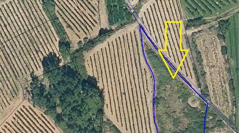 FINCA RÚSTICA - ENTRENA (), imatge 4
